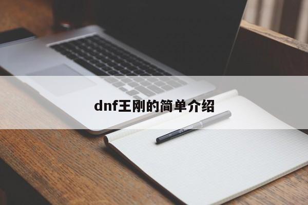 dnf王刚的简单介绍