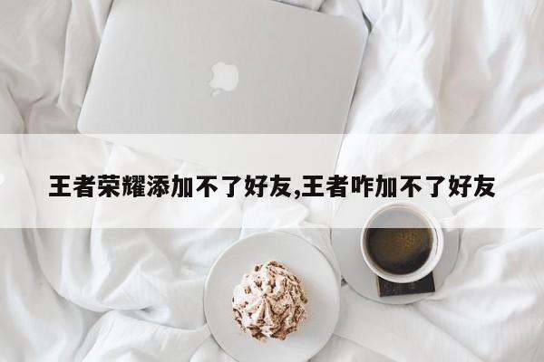 王者荣耀添加不了好友,王者咋加不了好友