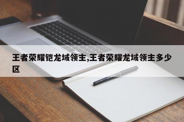 王者荣耀铠龙域领主,王者荣耀龙域领主多少区