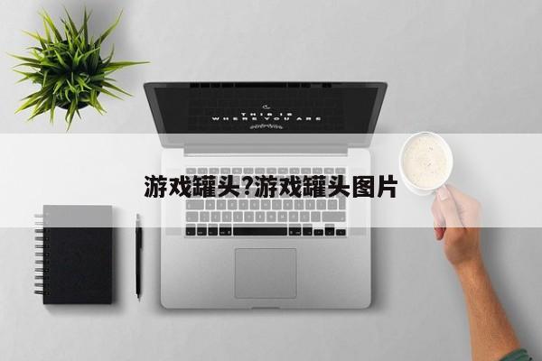 游戏罐头?游戏罐头图片