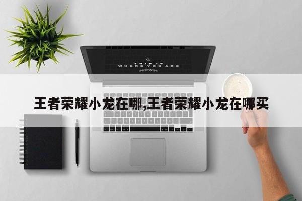 王者荣耀小龙在哪,王者荣耀小龙在哪买