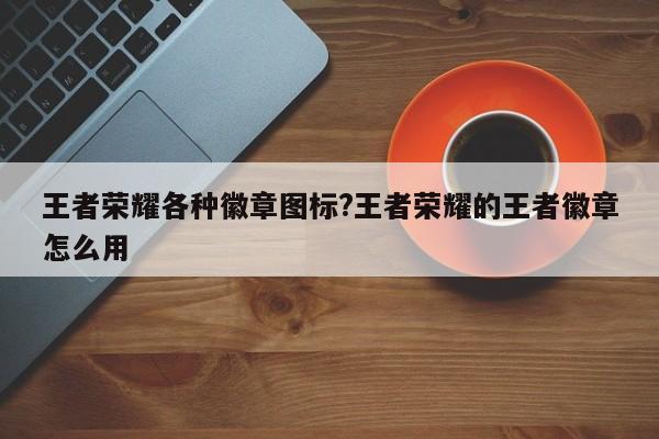 王者荣耀各种徽章图标?王者荣耀的王者徽章怎么用