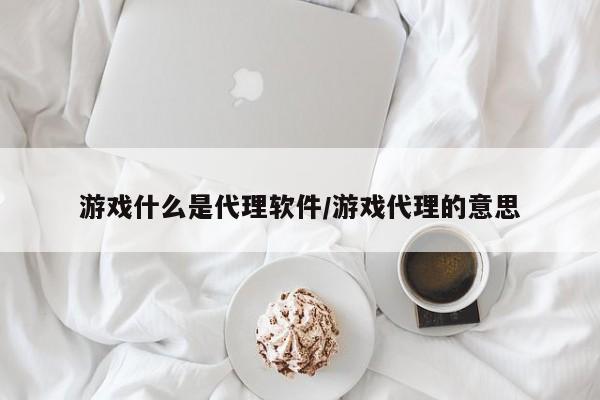 游戏什么是代理软件/游戏代理的意思