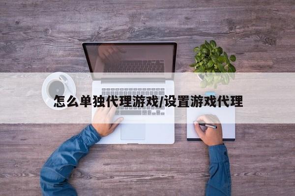 怎么单独代理游戏/设置游戏代理