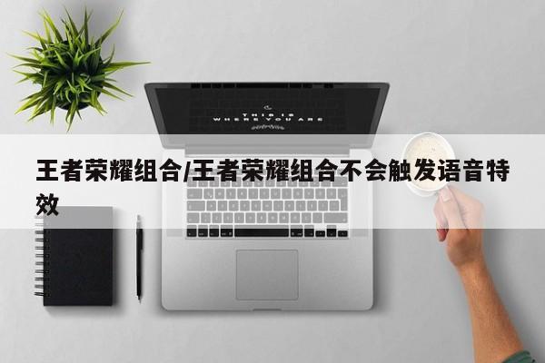 王者荣耀组合/王者荣耀组合不会触发语音特效